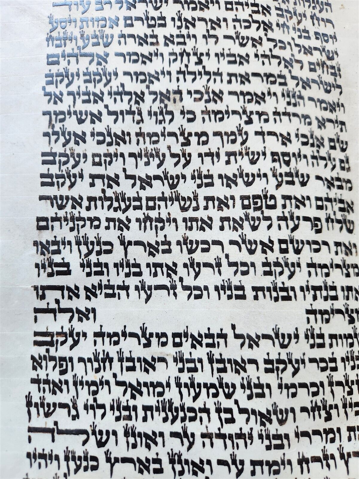 TORAH SCROLL FRAGMENT MANUSCRIPT on VELLUM antique BIBLE GENESIS 44:30-48:5
