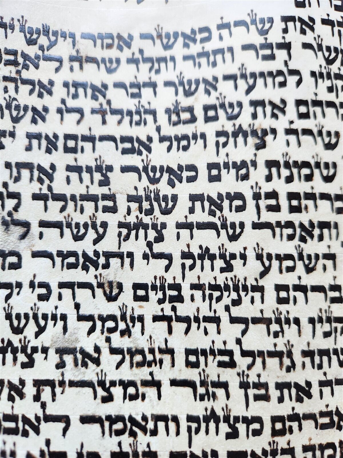 TORAH SCROLL FRAGMENT MANUSCRIPT VELLUM antique BIBLE GENESIS SODOM & GOMORRAH