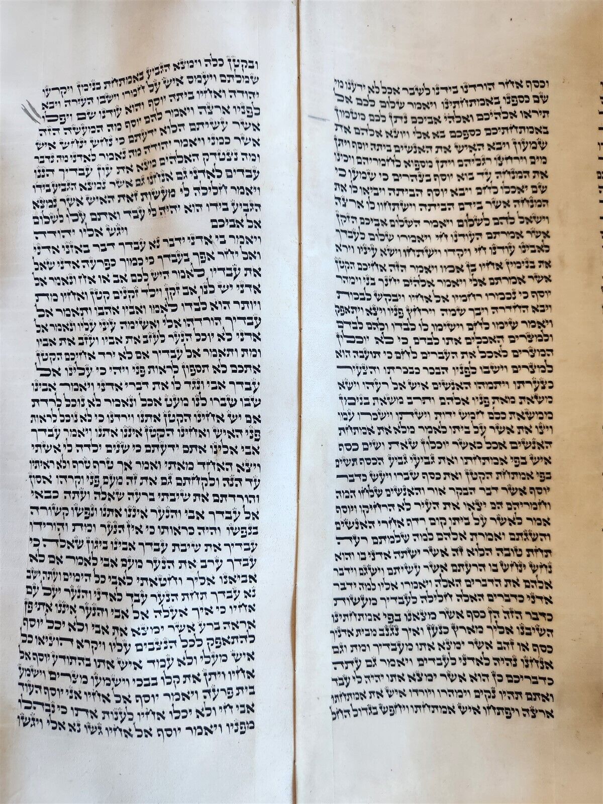TORAH SCROLL large FRAGMENT MANUSCRIPT VELLUM antique BIBLE GENESIS 32:3-47:18