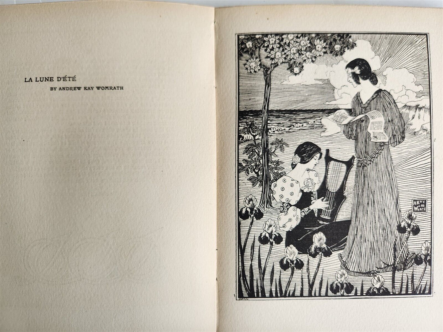 1896 EVERGREEN NORTHERN SEASONAL BOOK OF SUMMER antique ARTS & CRAFTS ILLUSTR.