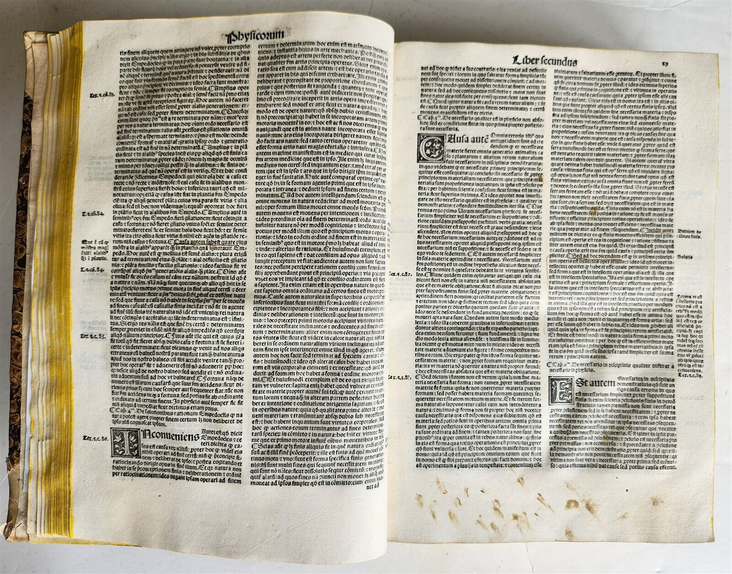 1517 POST-INCUNABULA ALBERTUS MAGNUS antique METAPHYSICA SCIENCE PHILOSOPHY