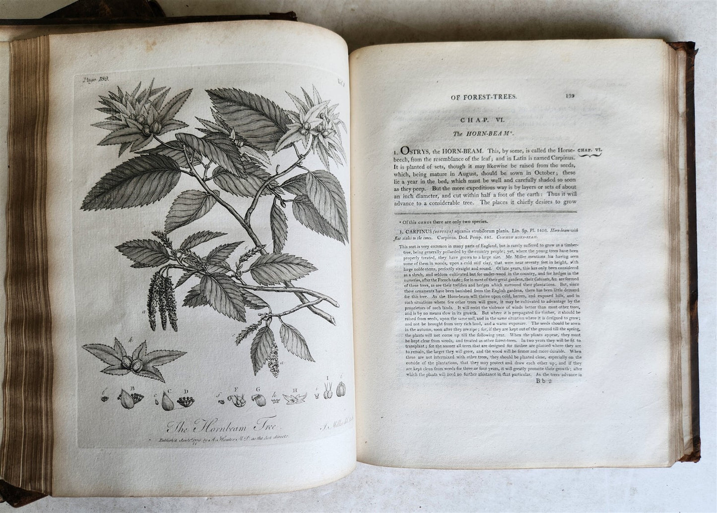 1801 SILVA: DISCOURSE OF FOREST TREES 2 VOLUMES ILLUSTRATED antique in ENGLISH