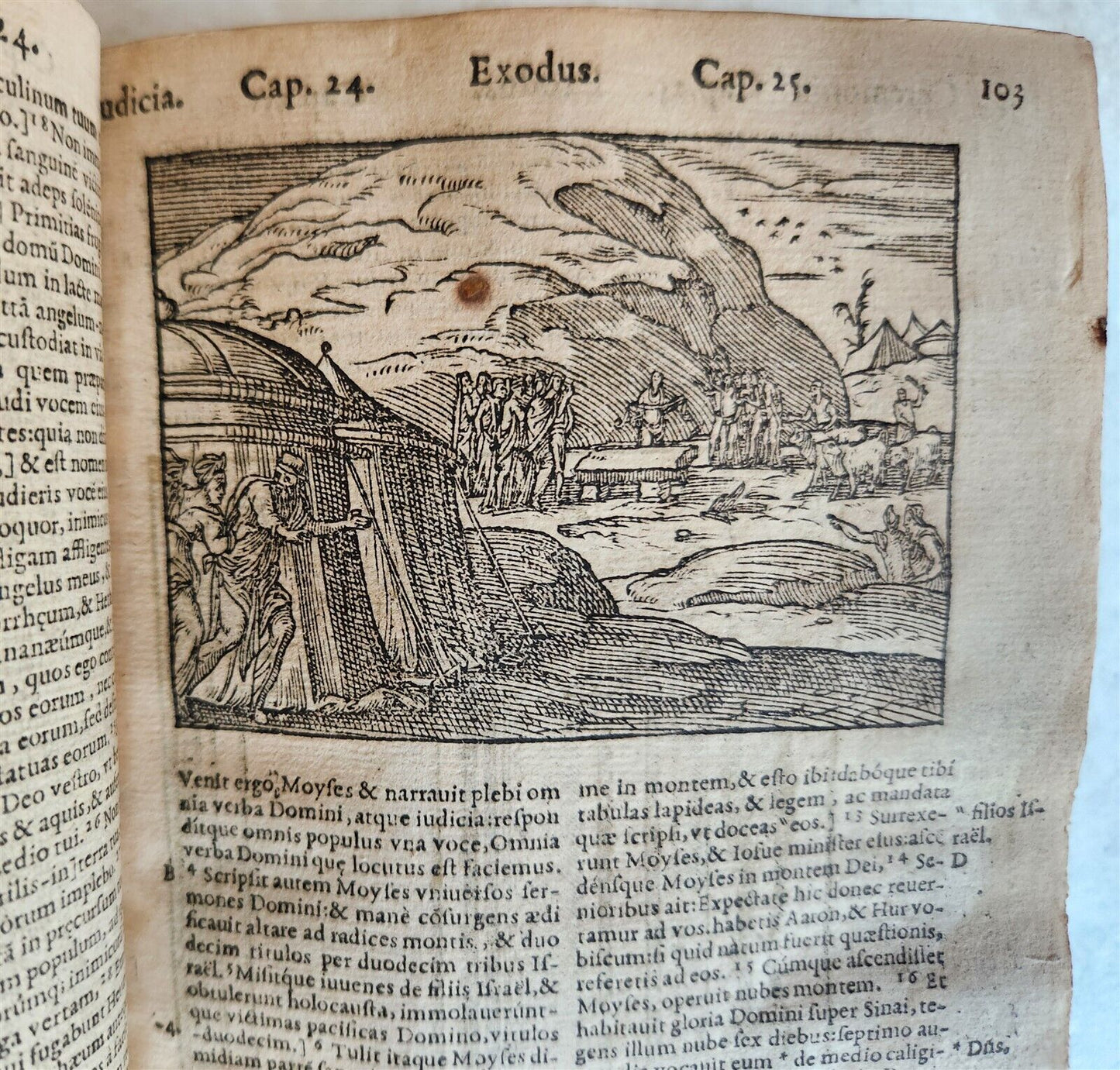 1573 BIBLE in LATIN antique FULLY ILLUSTRATED Old & New Testament