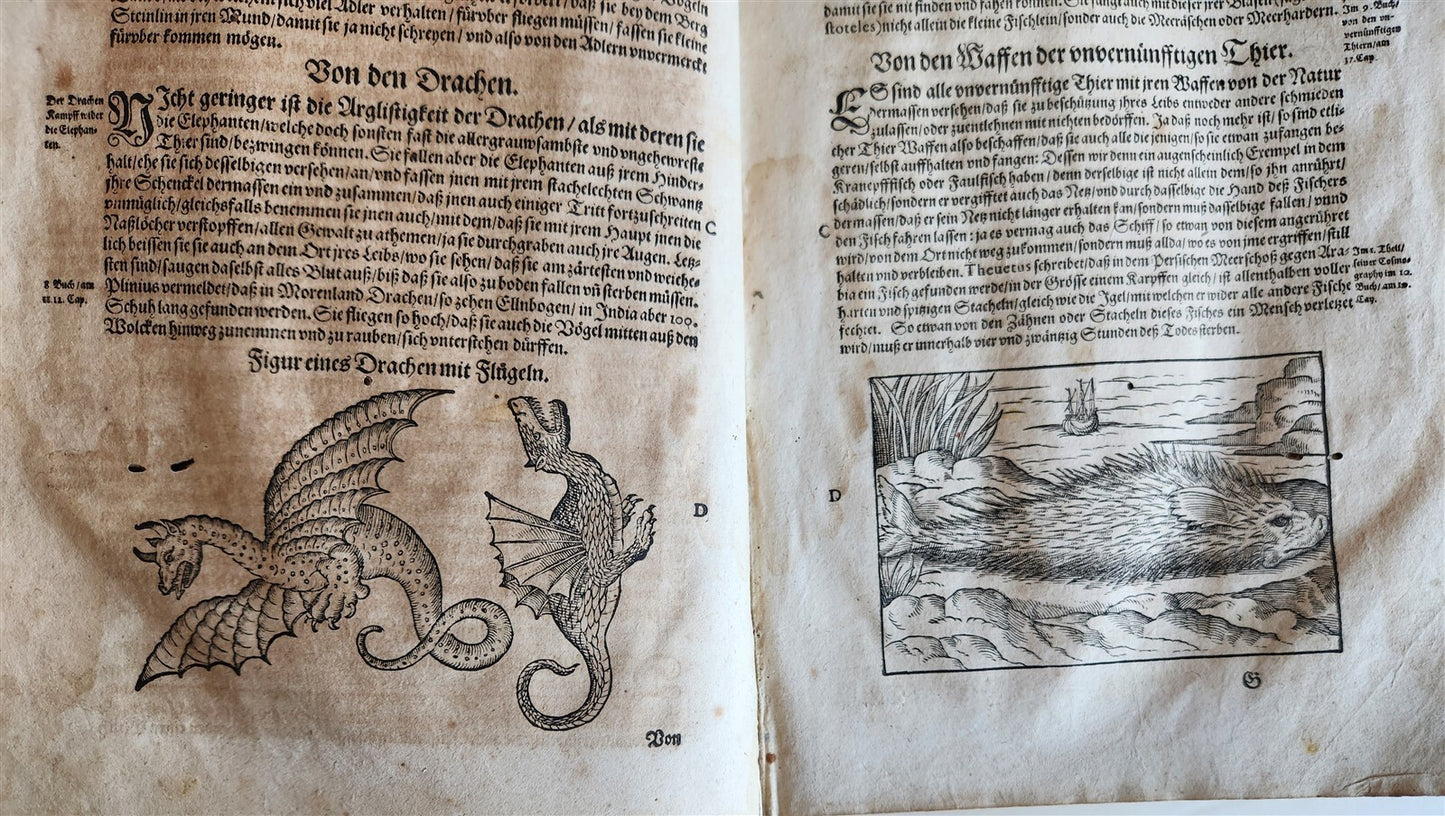 1601 WOUND MEDICINE antique ILLUSTRATED WundArtzney oder Artzney spiegell FOLIO