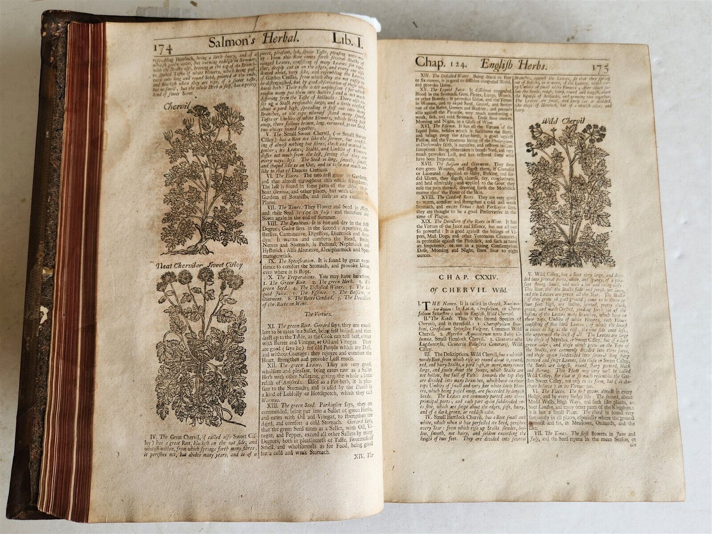 1710 BOTANOLOGIA ENGLISH HERBAL antique ILLUSTRATED MASSIVE FOLIO
