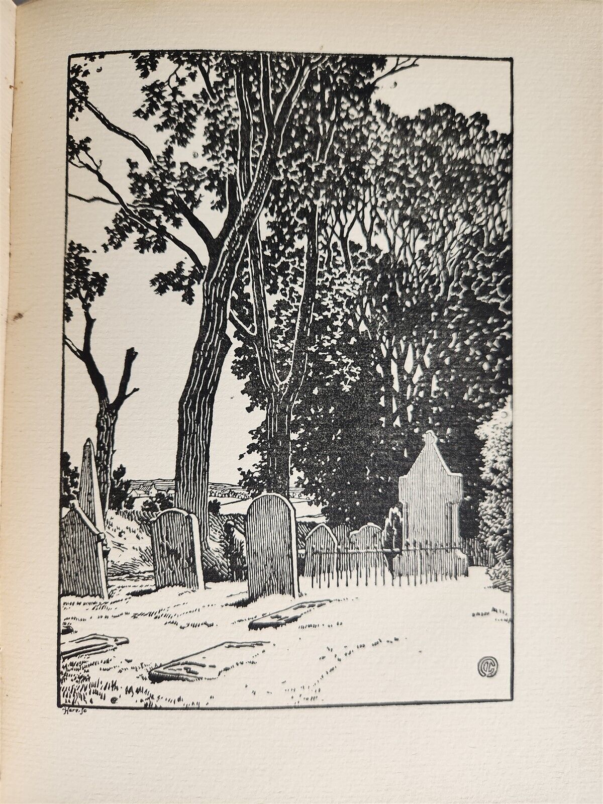 1896 EVERGREEN NORTHERN SEASONAL BOOK OF SUMMER antique ARTS & CRAFTS ILLUSTR.