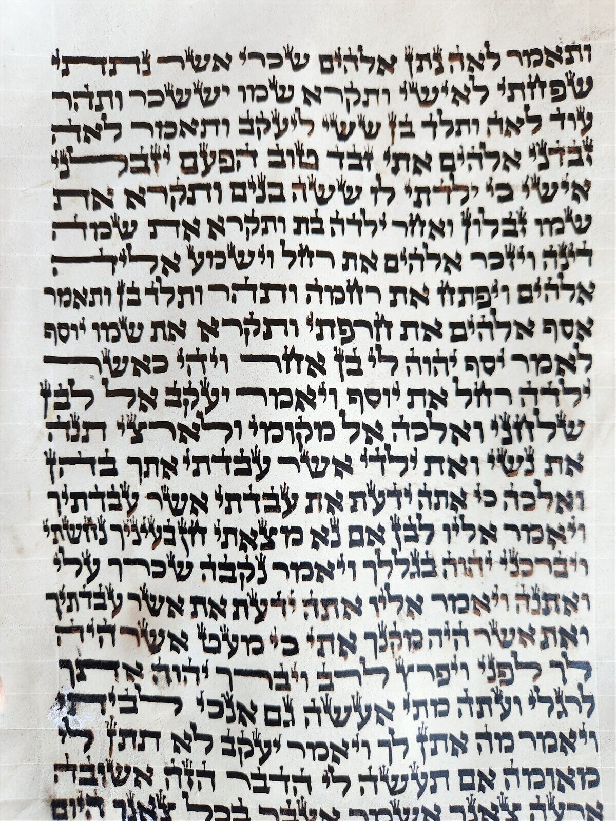 TORAH SCROLL FRAGMENT MANUSCRIPT on VELLUM antique BIBLE GENESIS 24:64 - 31:1