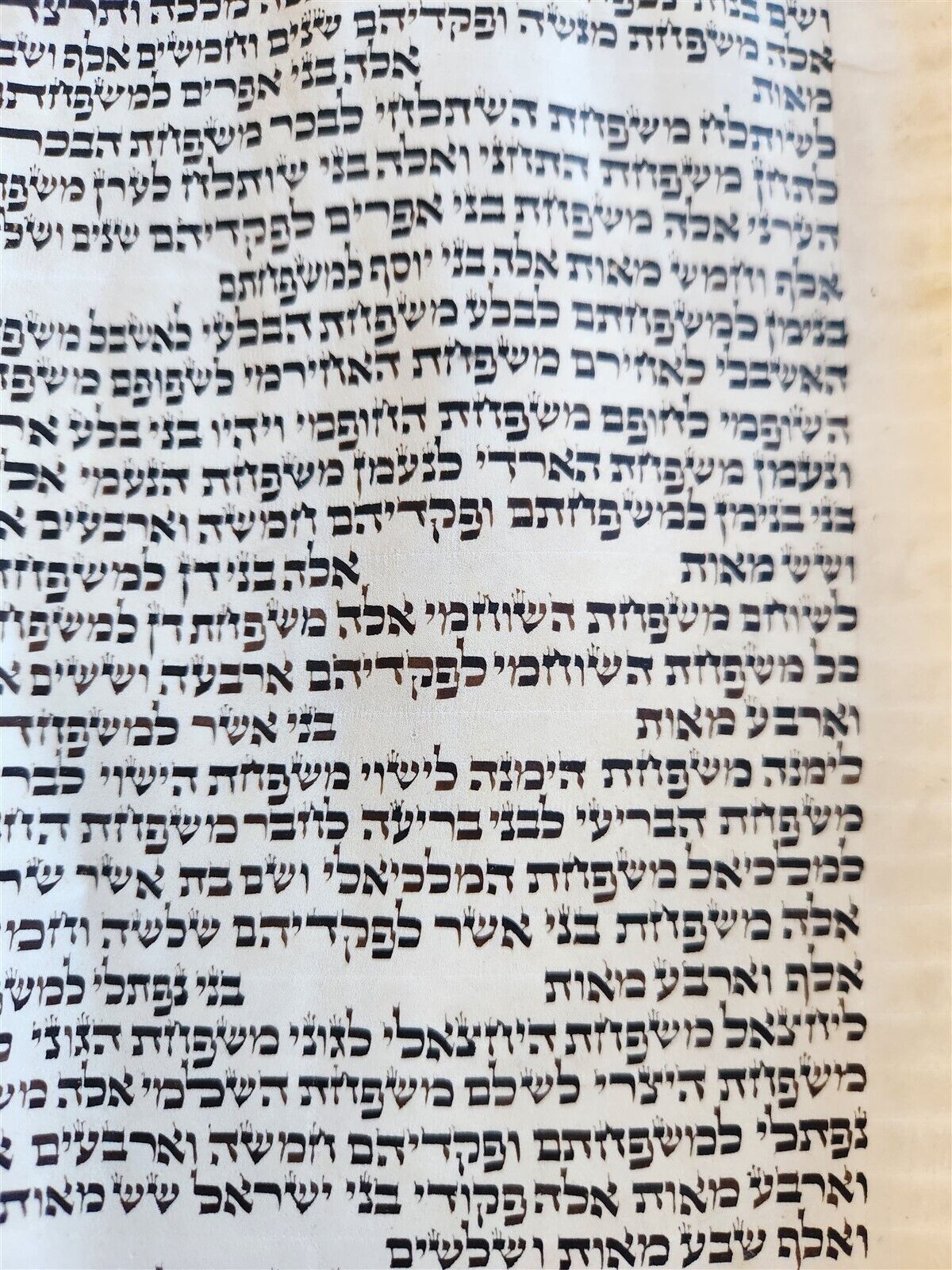TORAH SCROLL FRAGMENT MANUSCRIPT on VELLUM antique BIBLE BOOK OF NUMBERS