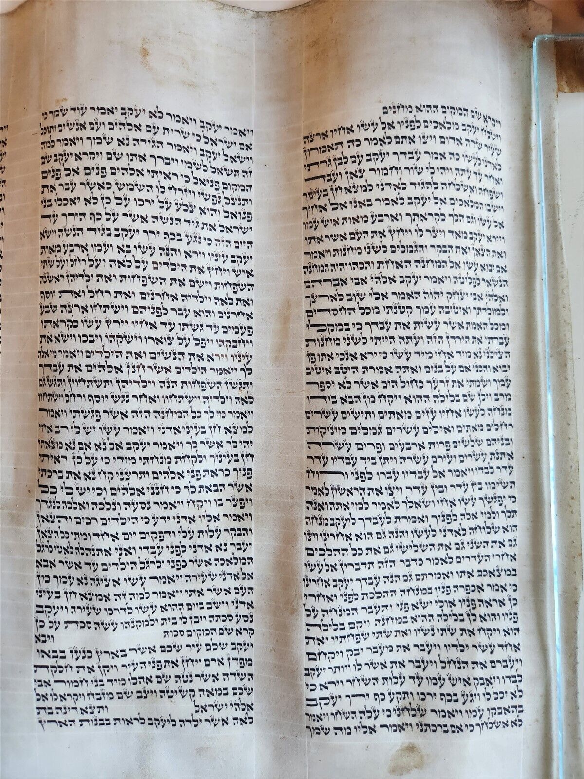 TORAH SCROLL large FRAGMENT MANUSCRIPT VELLUM antique BIBLE GENESIS 32:3-47:18