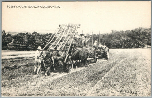 PEAPACK-GLADSTONE NJ HARVEST SCENE ANTIQUE POSTCARD