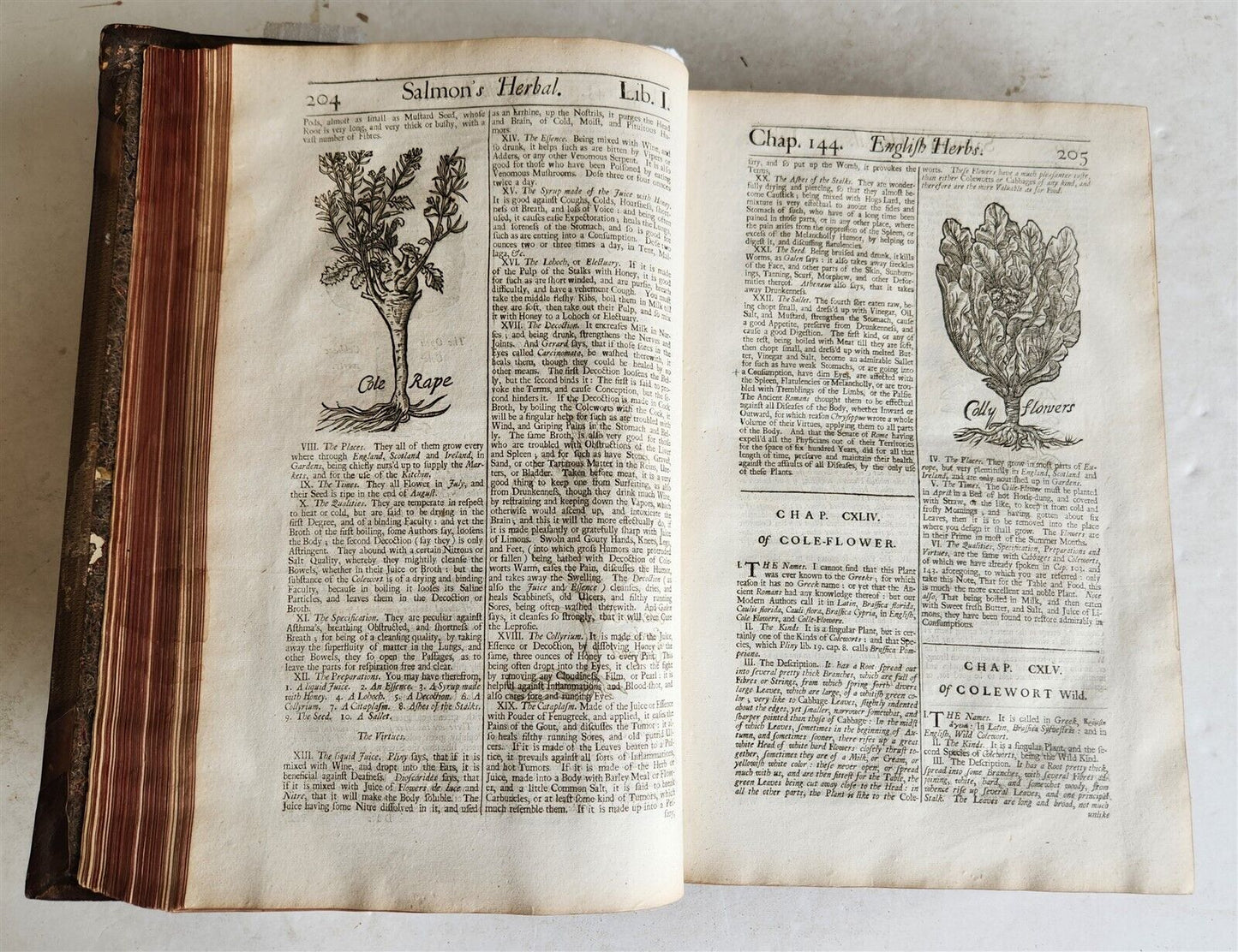 1710 BOTANOLOGIA ENGLISH HERBAL antique ILLUSTRATED MASSIVE FOLIO
