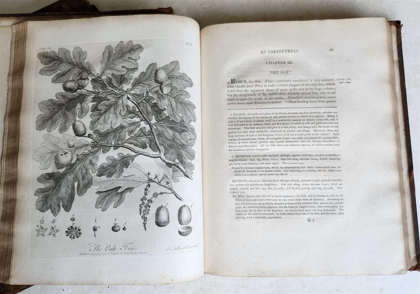 1801 SILVA: DISCOURSE OF FOREST TREES 2 VOLUMES ILLUSTRATED antique in ENGLISH