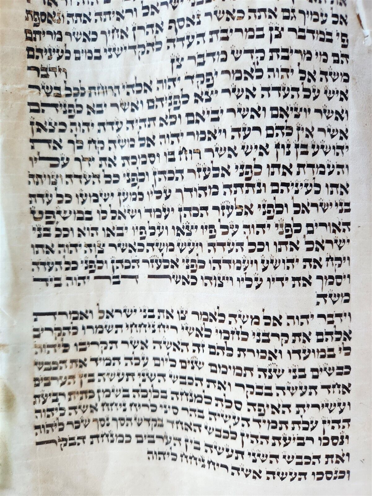 TORAH SCROLL FRAGMENT MANUSCRIPT on VELLUM antique BIBLE BOOK OF NUMBERS
