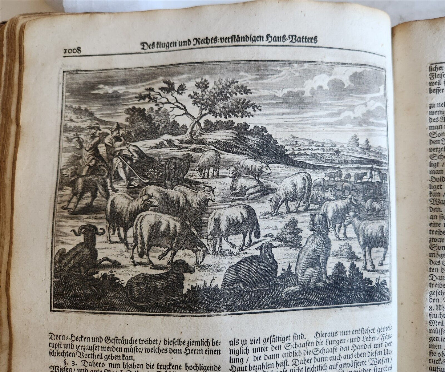 1702 Oeconomus prudens ILLUSTRATED 2 FOLIO VOLUMES antique in GERMAN