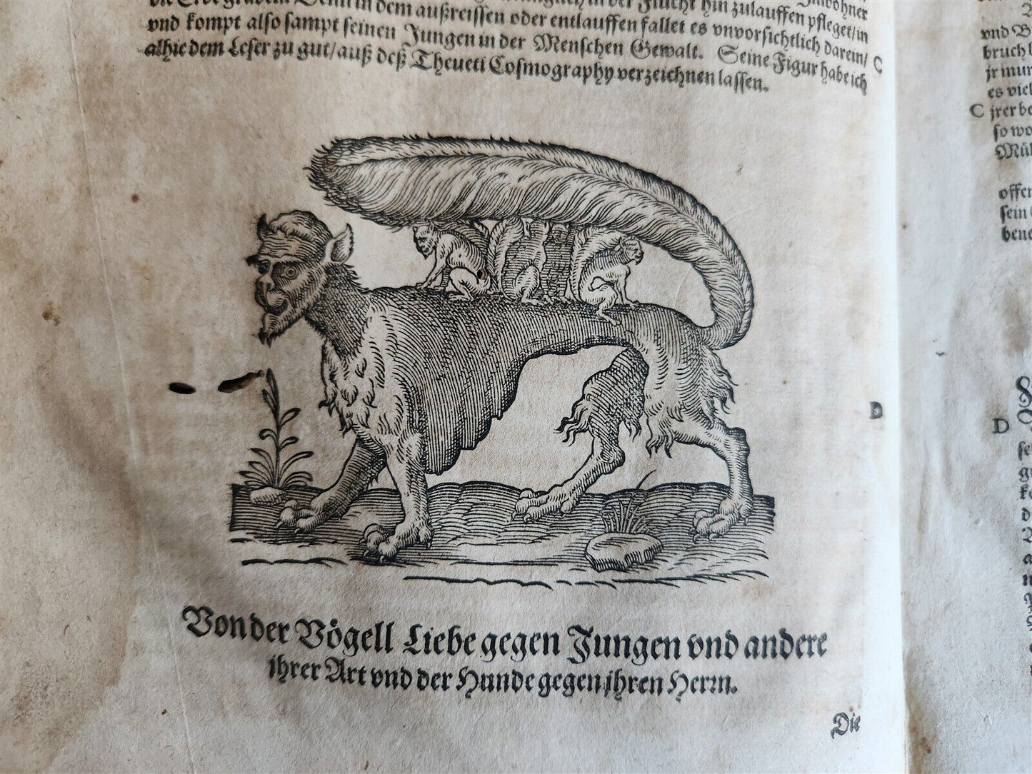 1601 WOUND MEDICINE antique ILLUSTRATED WundArtzney oder Artzney spiegell FOLIO