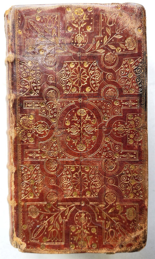 1681 BIBLE in ENGLISH antique FINBE ORIGINAL BINDING Old & New Testament