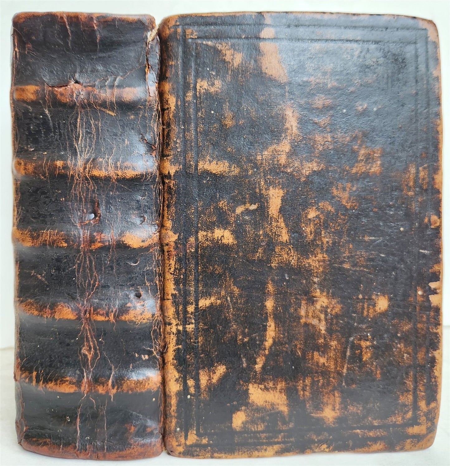 1563 BIBLE in LATIN antique ILLUSTRATED 16th century BIBLIA