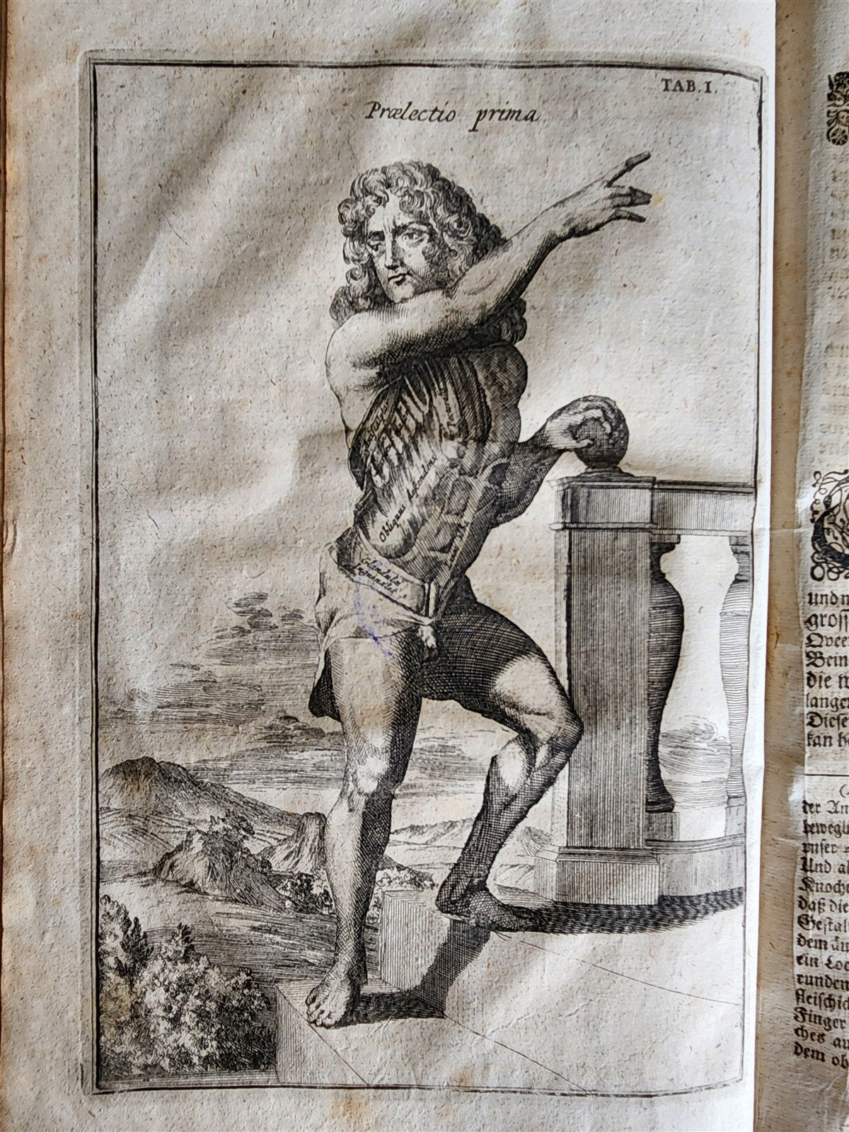 1704 ANATOMY MUSCLE TREATISE antique AMAZINGLY ILLUSTRATED