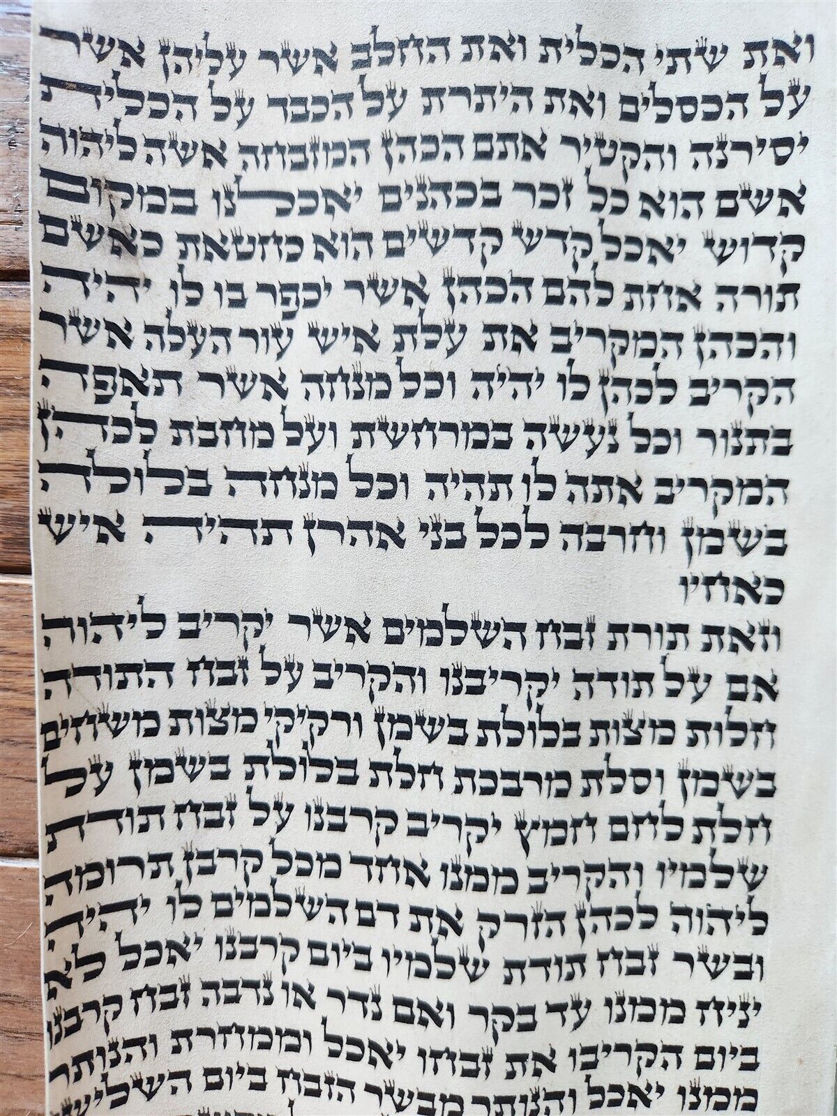 TORAH SCROLL FRAGMENT MANUSCRIPT on VELLUM antique BIBLE LEVITICUS 7:4-7:27