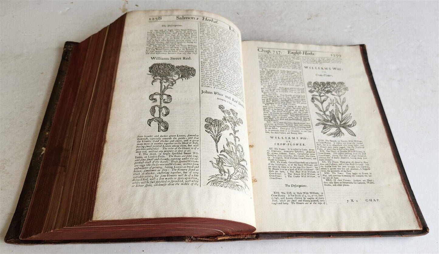 1710 BOTANOLOGIA ENGLISH HERBAL antique ILLUSTRATED MASSIVE FOLIO
