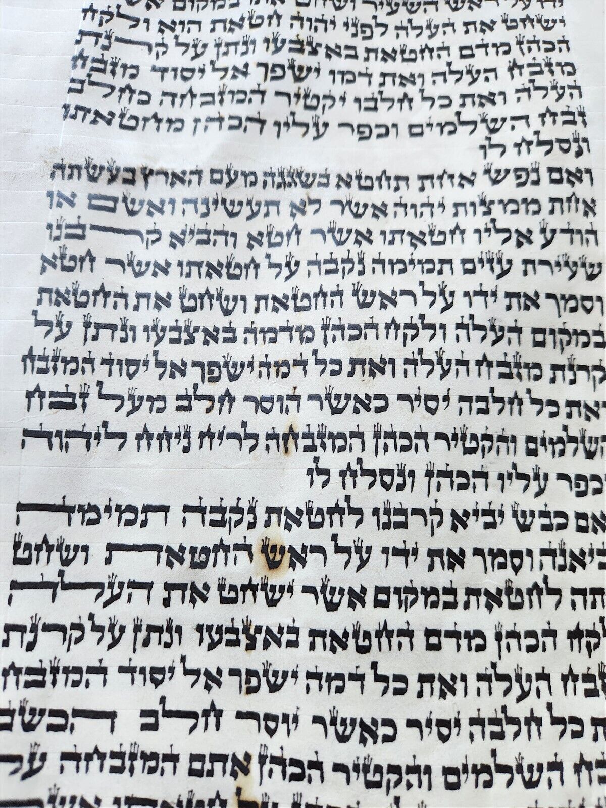 TORAH SCROLL FRAGMENT MANUSCRIPT on VELLUM antique BIBLE LEVITICUS 4:23-6:3