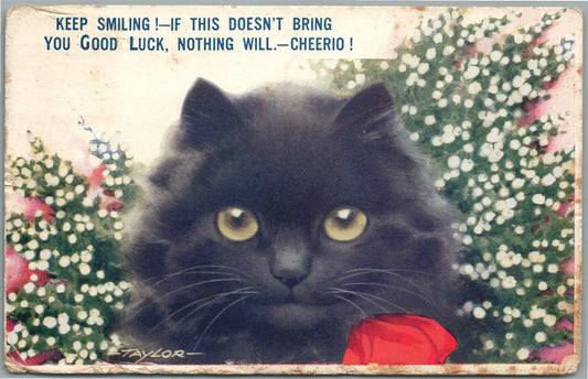 BLACK CAT GOOD LUCK ARTIST SIGNED ANTIQUE POSTCARD