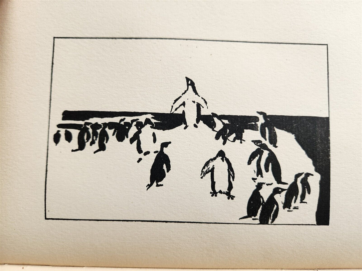 1896 EVERGREEN NORTHERN SEASONAL BOOK OF SUMMER antique ARTS & CRAFTS ILLUSTR.