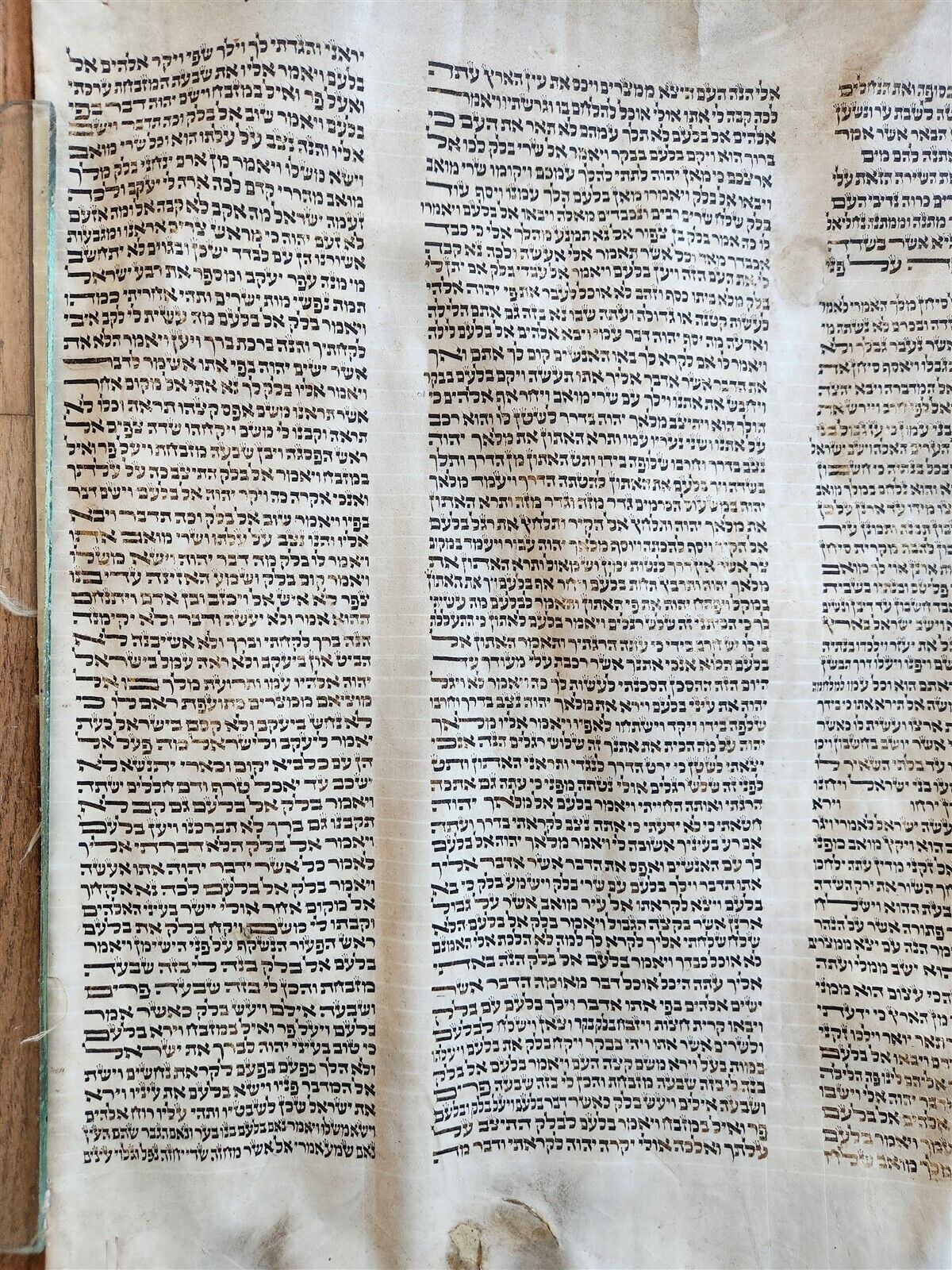TORAH SCROLL FRAGMENT MANUSCRIPT on VELLUM antique BIBLE BOOK OF NUMBERS 21x42"