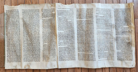 TORAH SCROLL FRAGMENT MANUSCRIPT on VELLUM antique BIBLE BOOK OF NUMBERS 21x42"