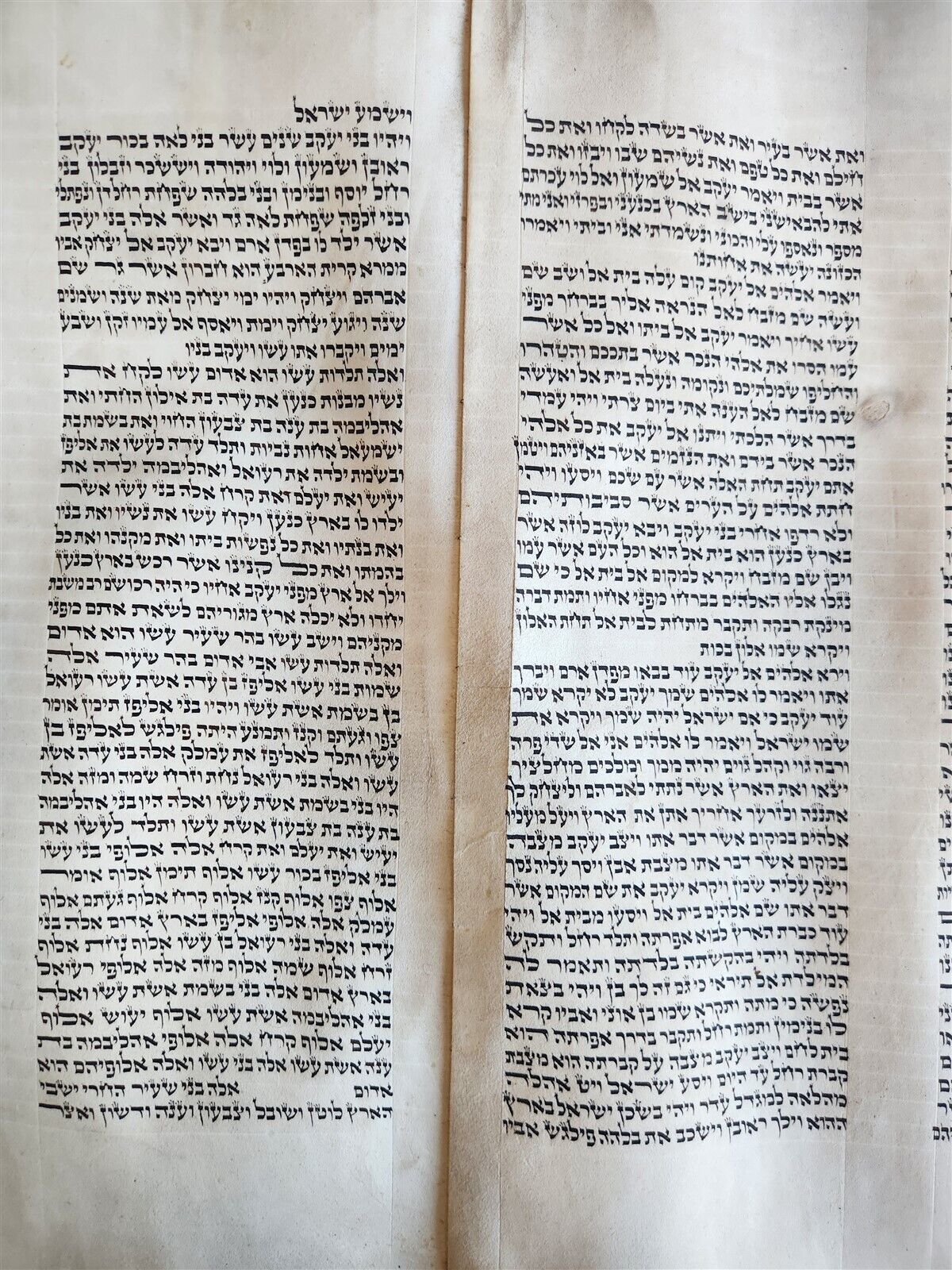TORAH SCROLL large FRAGMENT MANUSCRIPT VELLUM antique BIBLE GENESIS 32:3-47:18