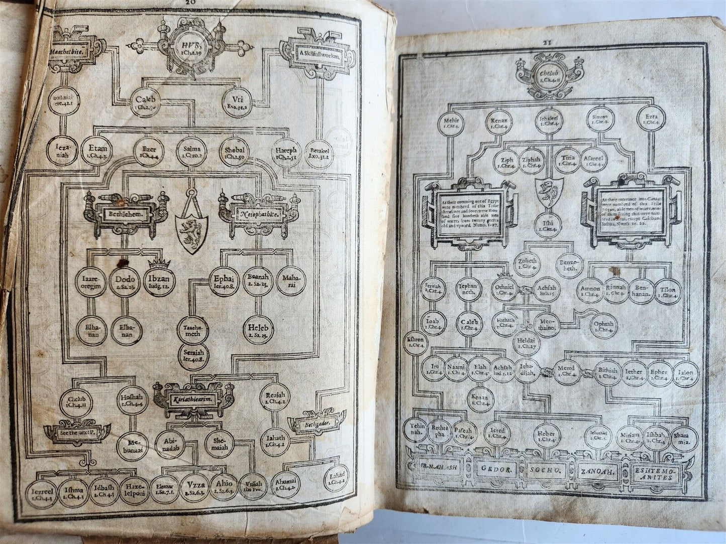 1629 BIBLE in ENGLISH antique ILLUSTRATED Old & New Testament