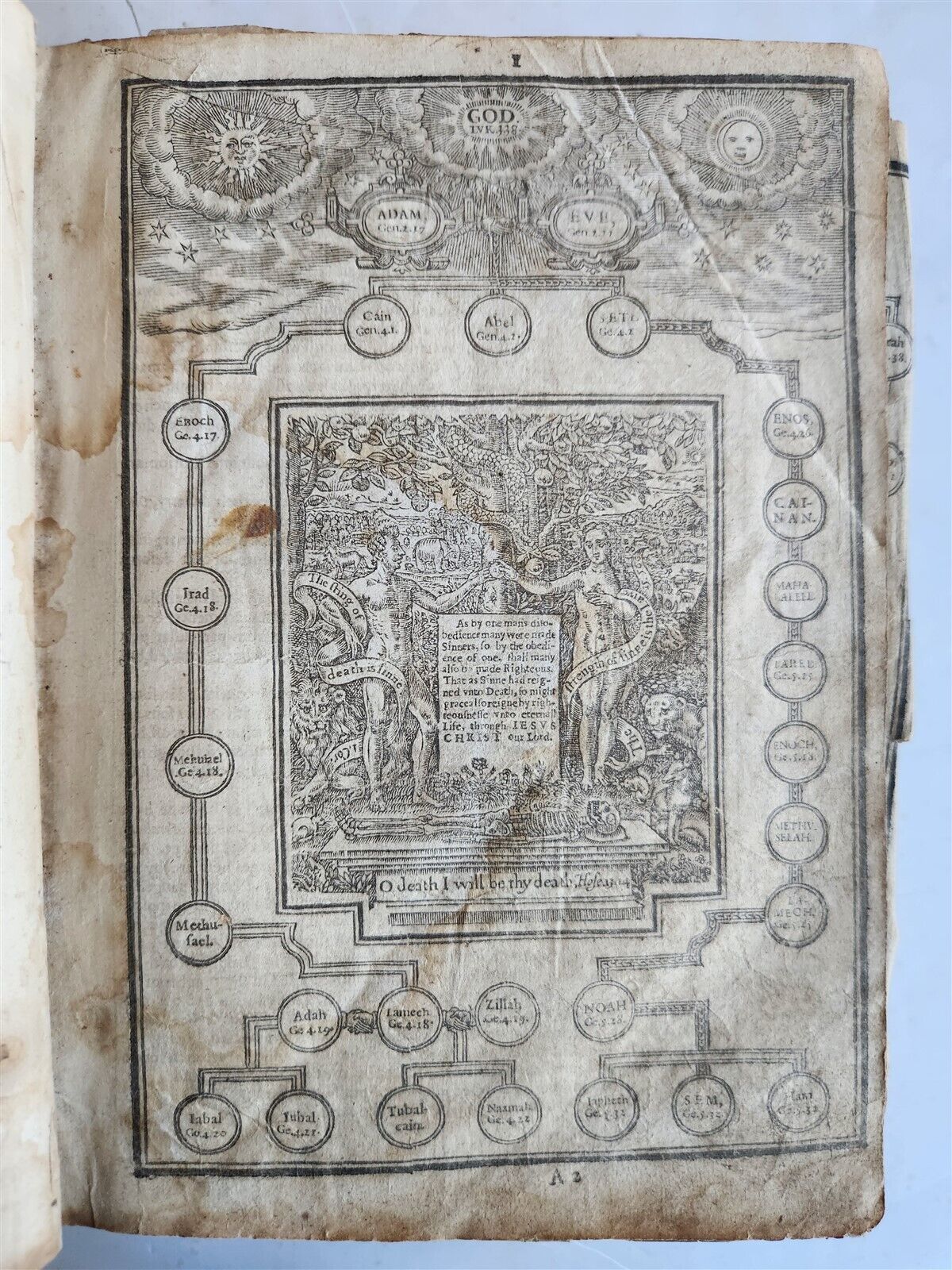 1629 BIBLE in ENGLISH antique ILLUSTRATED Old & New Testament