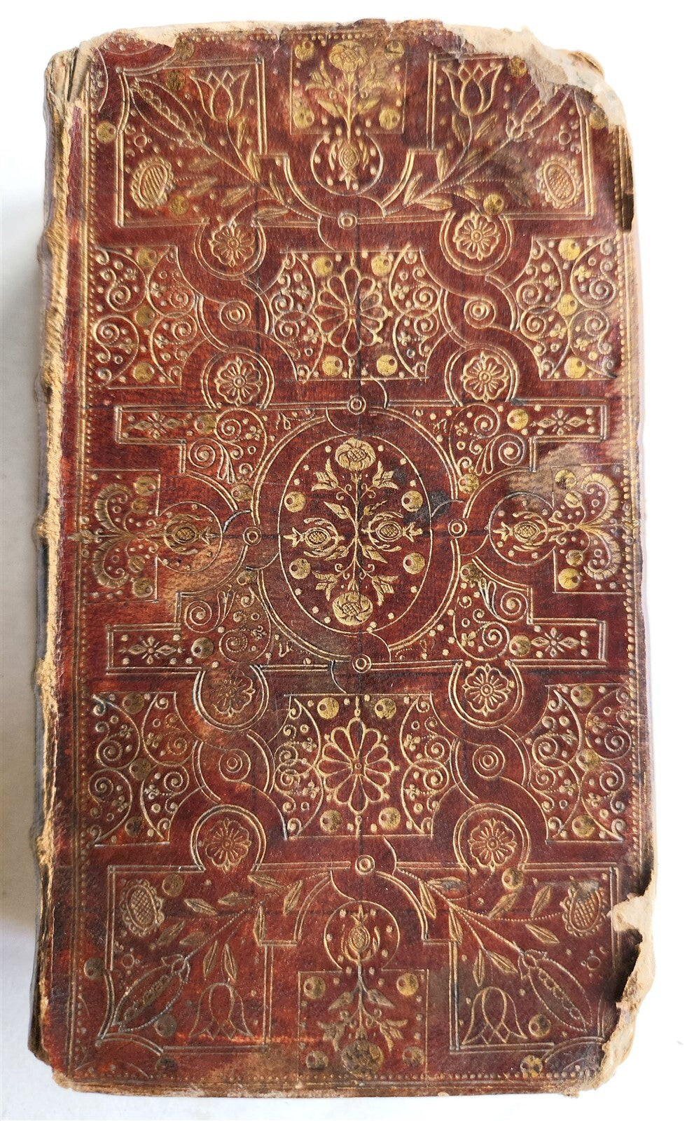 1681 BIBLE in ENGLISH antique FINBE ORIGINAL BINDING Old & New Testament