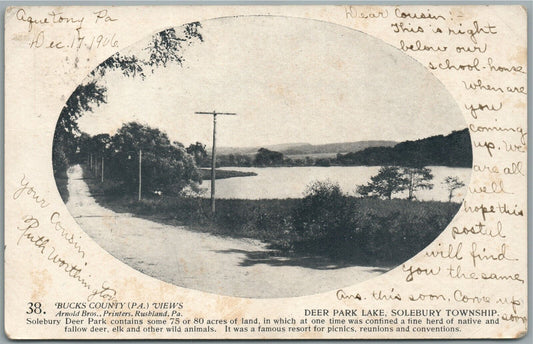 SOLEBURY TWP PA BUCKS CO. VIEWS ARNOLD BROTHERS DEER PARK LAKE ANTIQUE POSTCARD