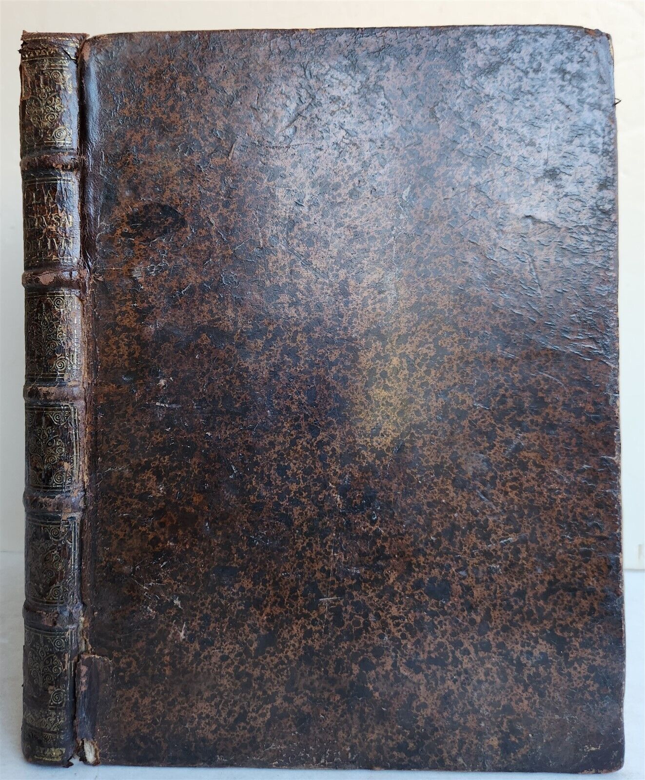 1667 JERUSALEM DELIVERED by TORQUATO TASSO antique ILLUSTRATED