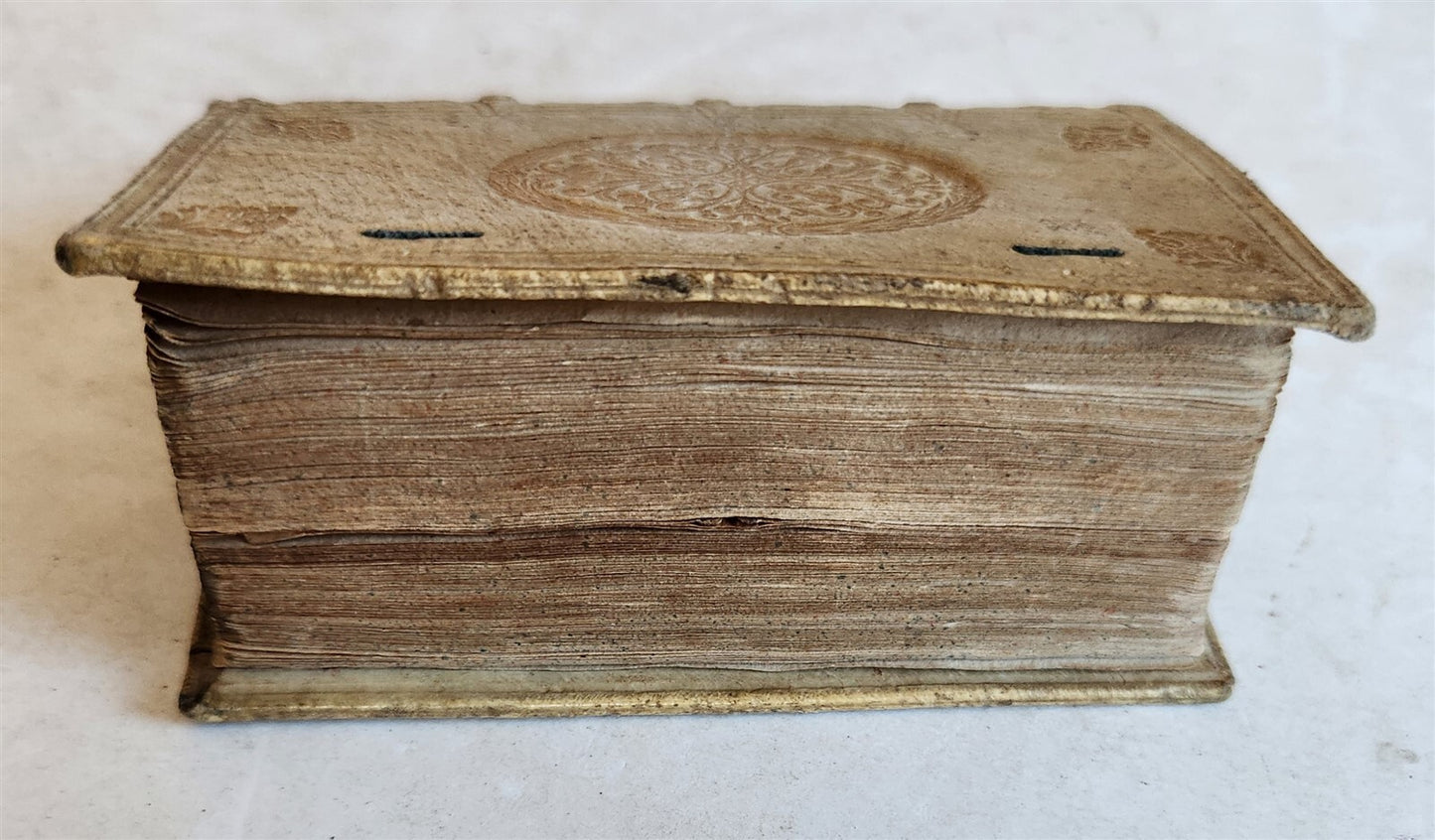 1646 SANCTAE INTENTIONES HAGIOPHILAE TRIBUS antique FABULOUS VELLUM BINDING