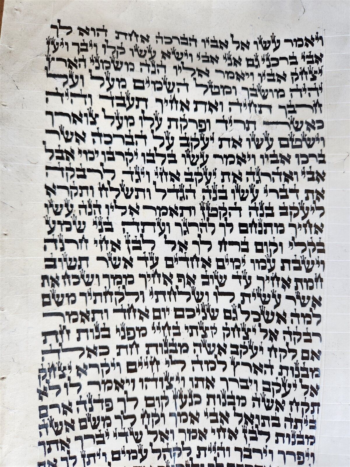 TORAH SCROLL FRAGMENT MANUSCRIPT on VELLUM antique BIBLE GENESIS 24:64-28:15