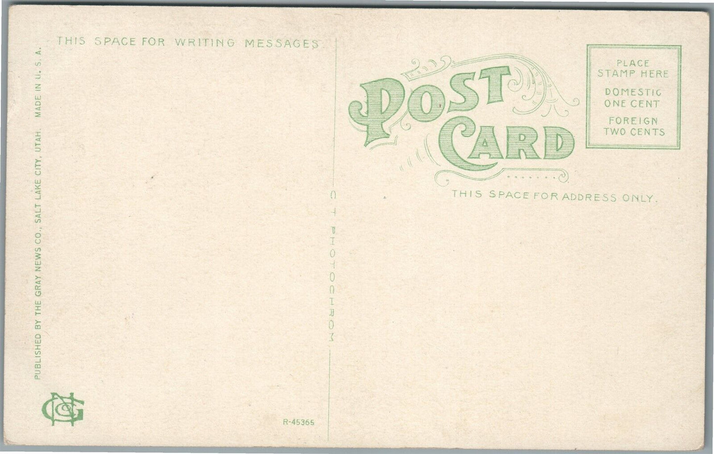 AMERICAN BLACKFOOT FORT HALL INDIANS ANTIQUE POSTCARD