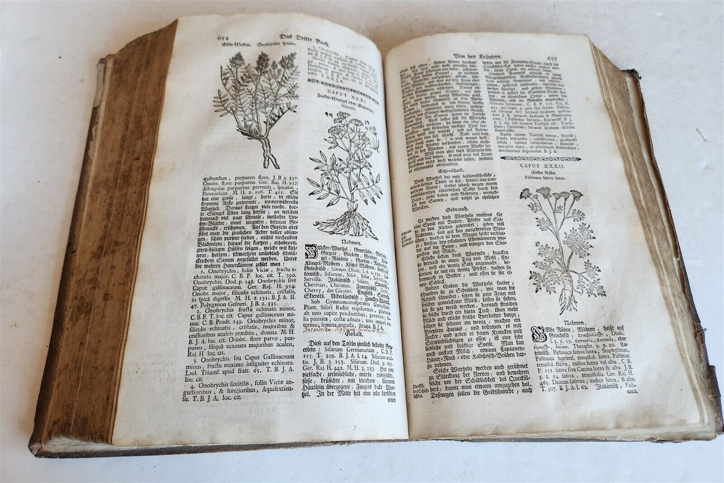 1744 THEATRUM BOTANICUM ILLUSTRATED GERMAN HERBAL antique PIGSKIN BOUND FOLIO