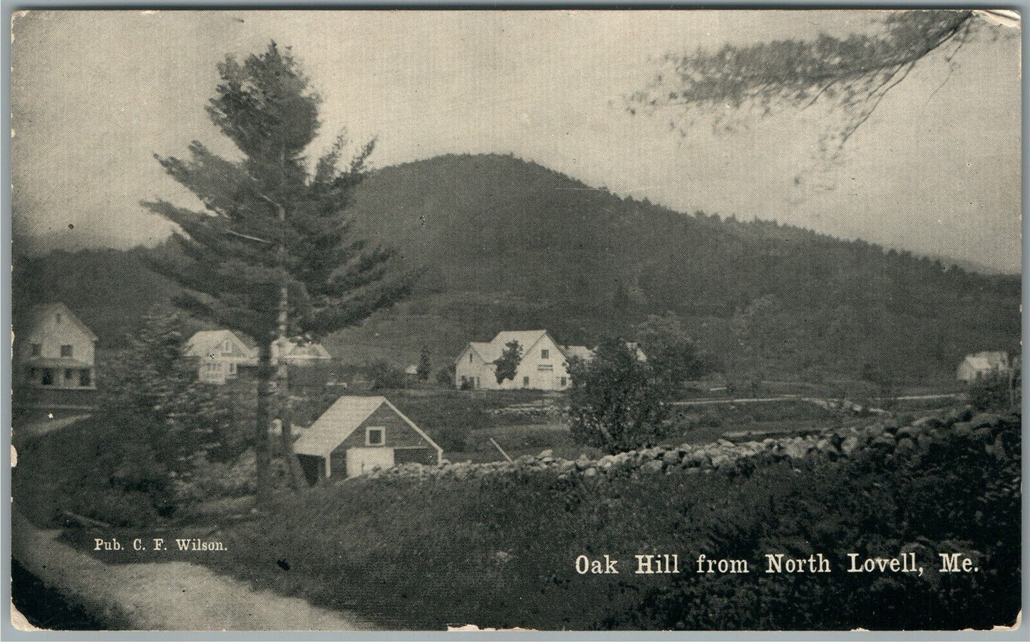 NORTH LOVELL ME OAK HILL ANTIQUE POSTCARD