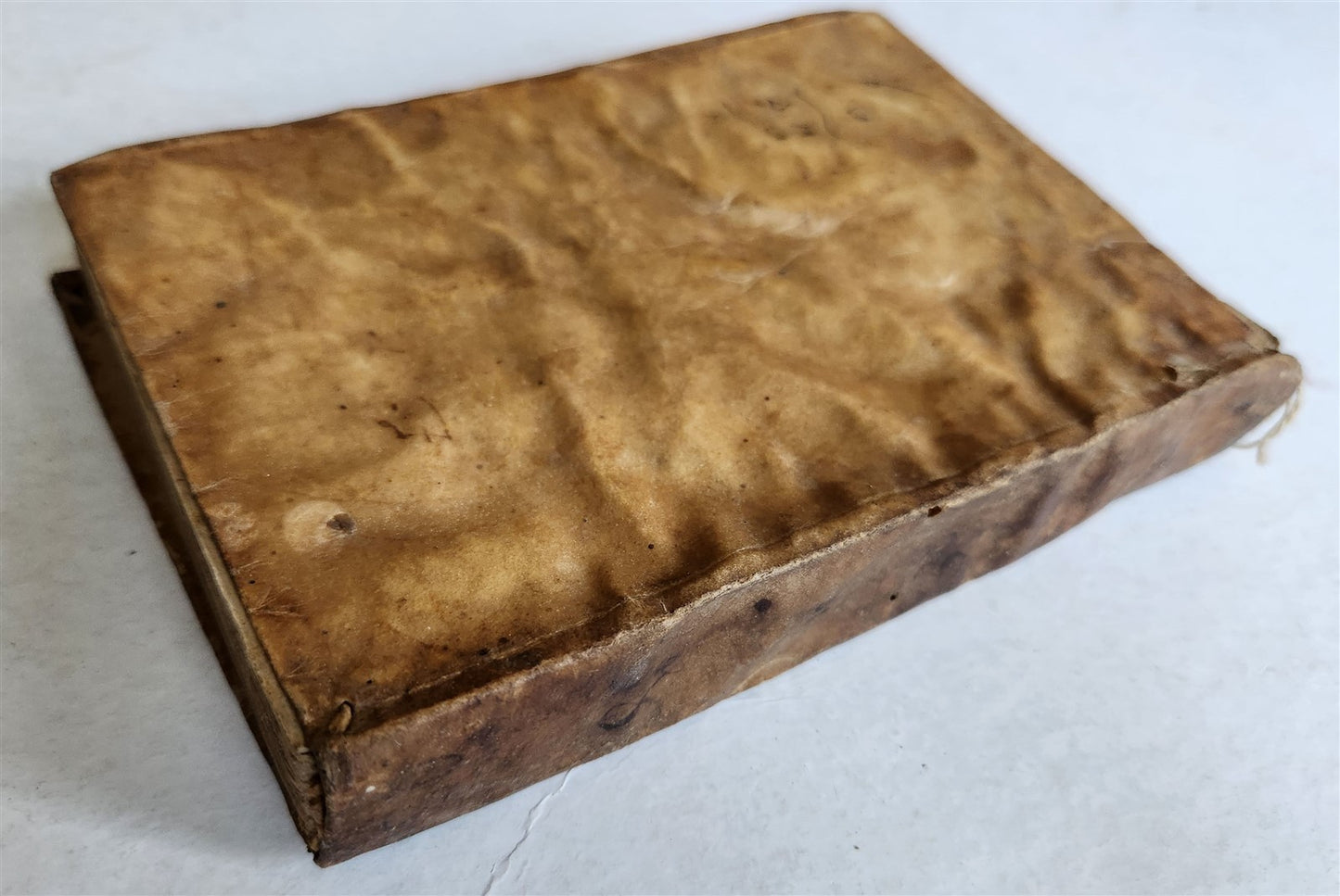 1592 LIVES of POPES ILLUSTRATED w/ 240 WOODCUTS antique 16th CENTURY