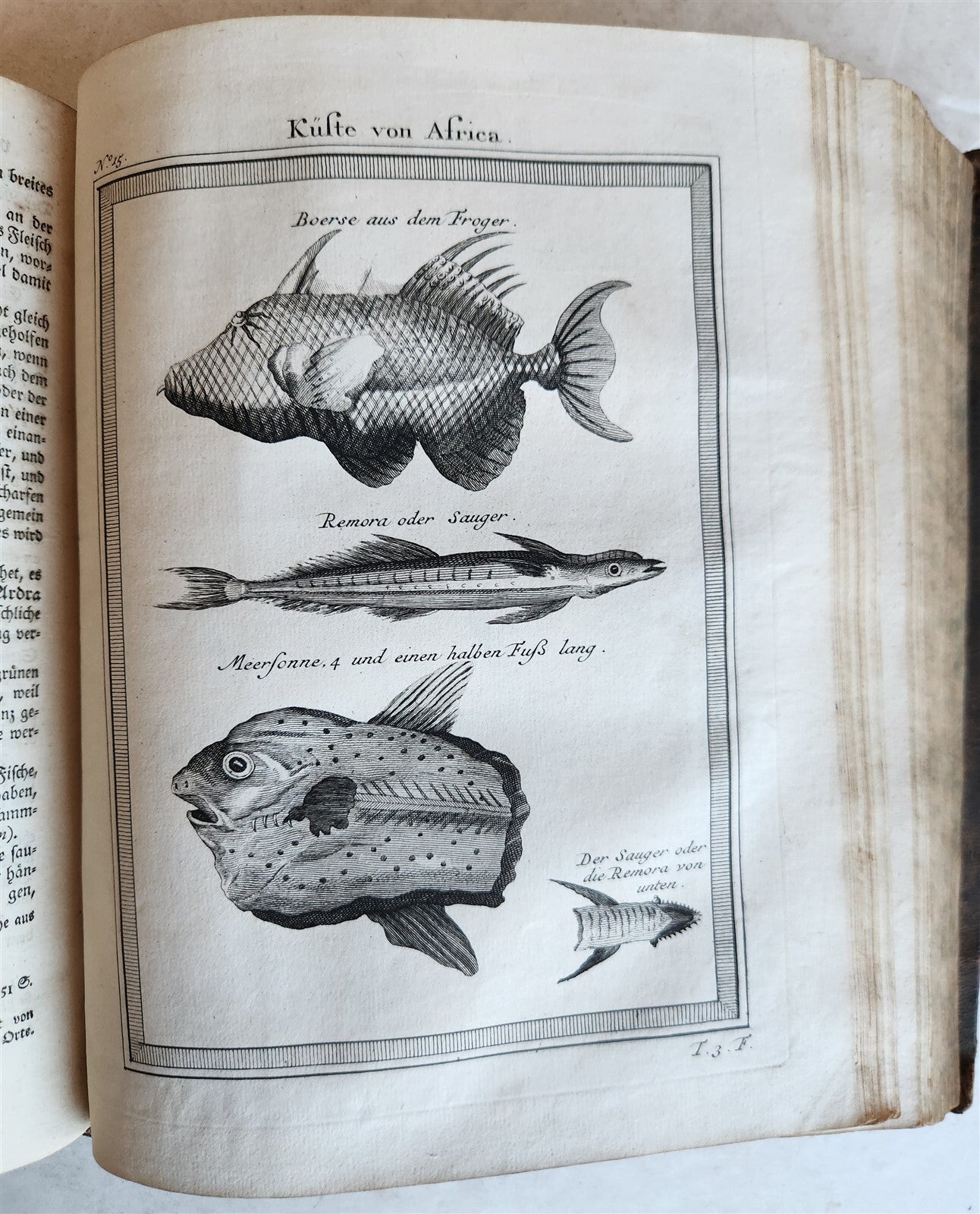 1748 HISTORY of TRAVELS Guinea Benin & Sierra Leone antique ILLUSTRATED