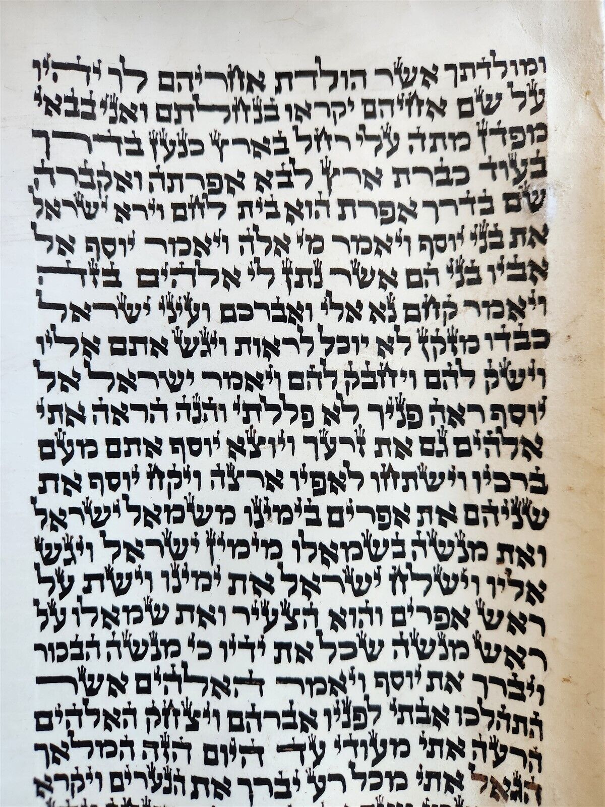 TORAH SCROLL FRAGMENT MANUSCRIPT on VELLUM antique BIBLE GENESIS 48:6 Exodus 3:7