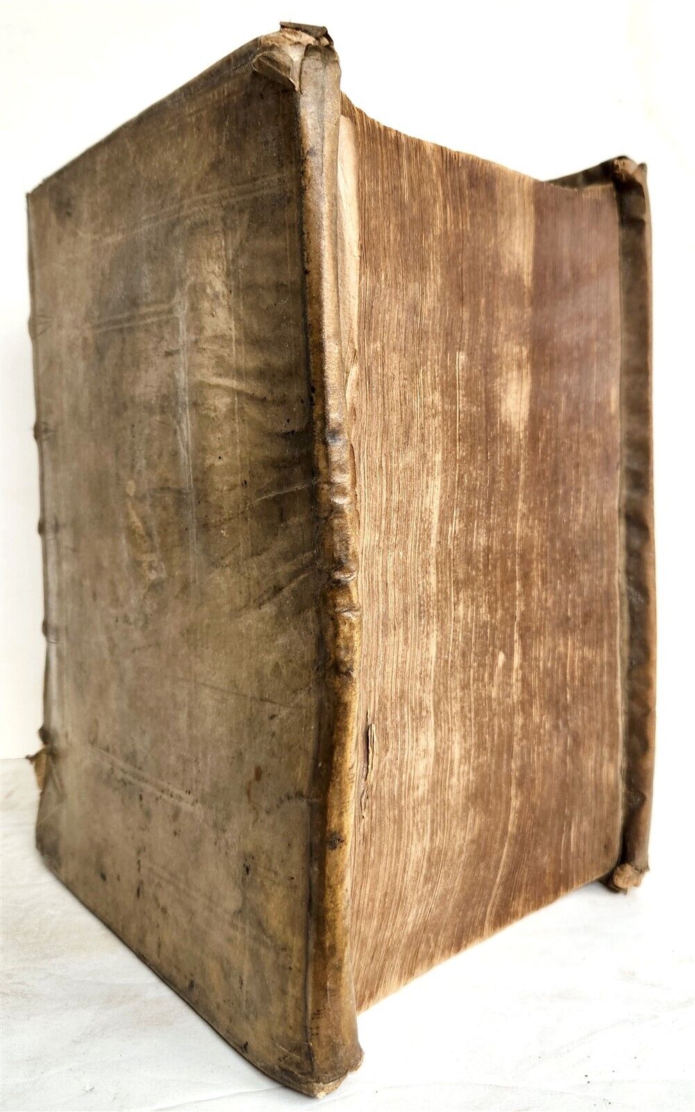 1663 CORPUS JURIS CIVILIS by Denis Godefroy antique VELLUM BINDING