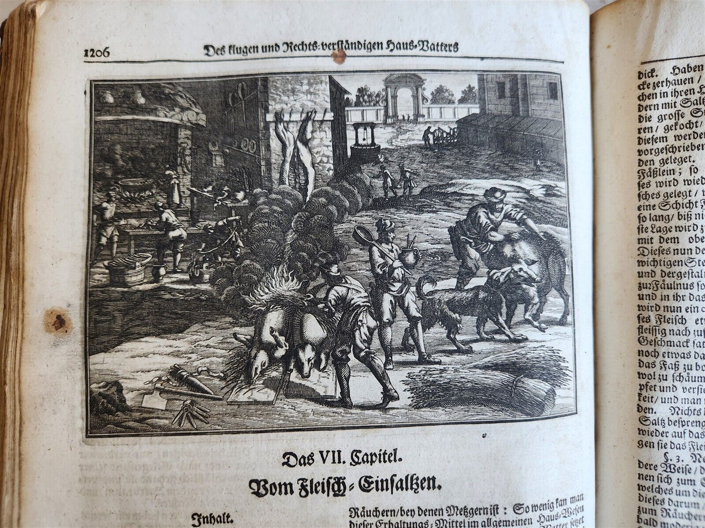 1702 Oeconomus prudens ILLUSTRATED 2 FOLIO VOLUMES antique in GERMAN
