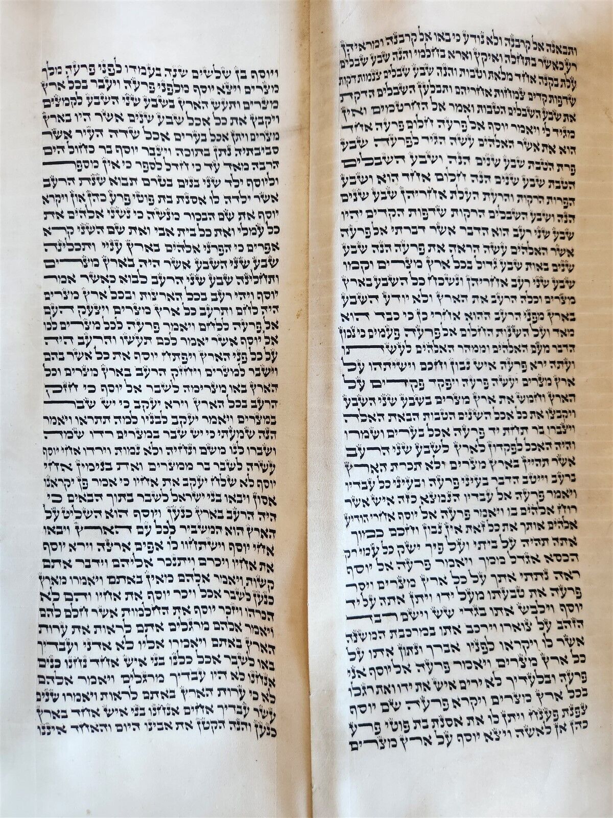 TORAH SCROLL large FRAGMENT MANUSCRIPT VELLUM antique BIBLE GENESIS 32:3-47:18