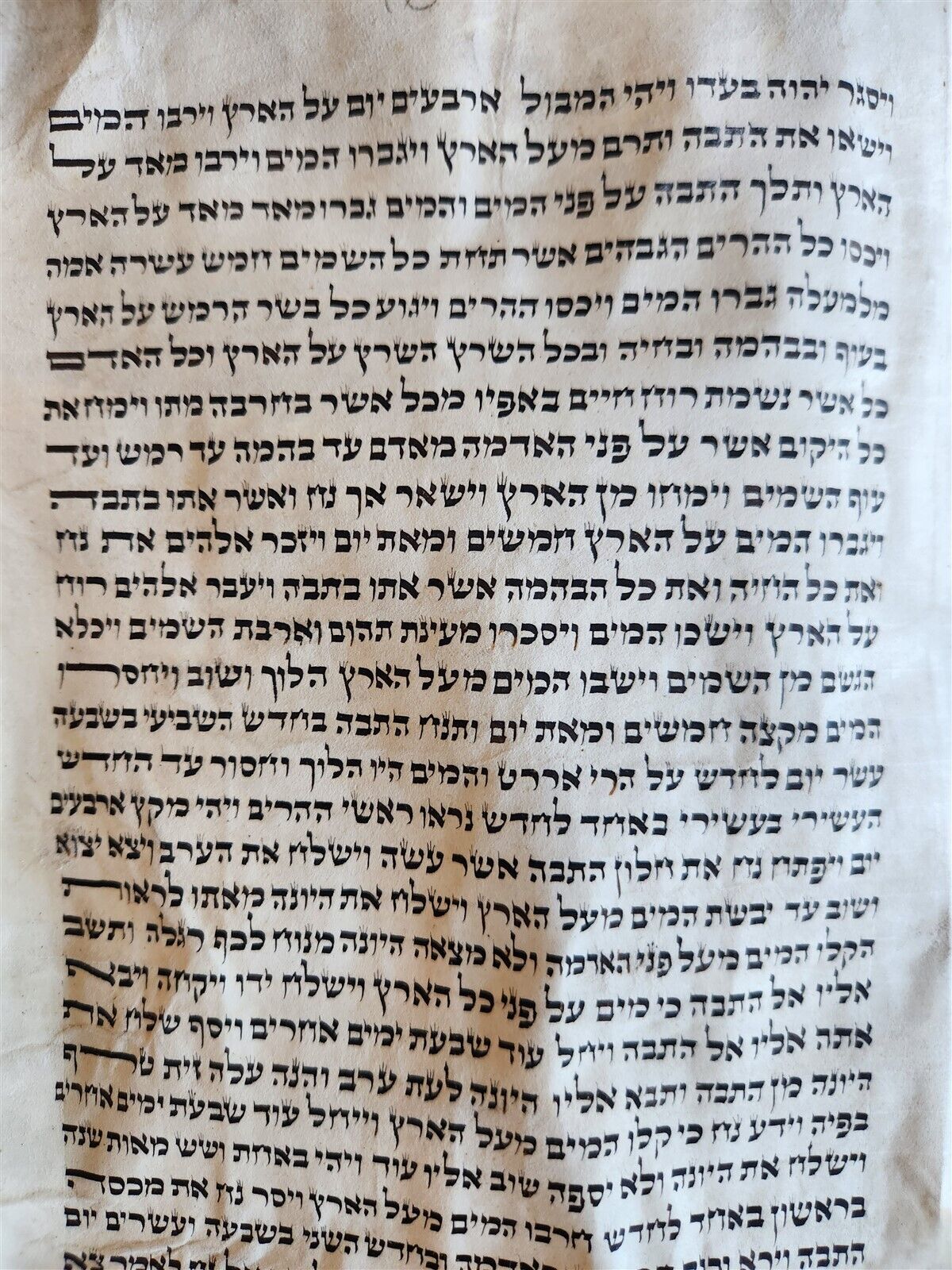 TORAH SCROLL FRAGMENT MANUSCRIPT on VELLUM antique BIBLE CREATION of the WORLD