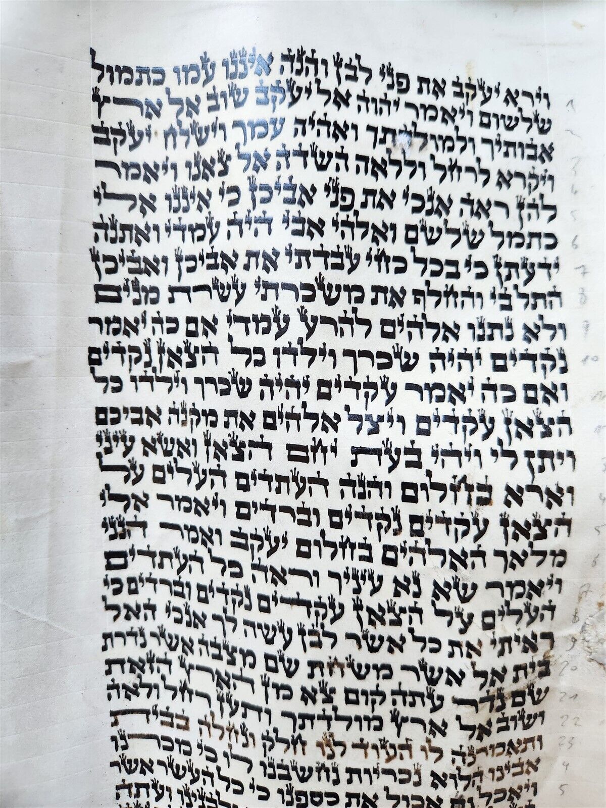 TORAH SCROLL FRAGMENT MANUSCRIPT on VELLUM antique BIBLE GENESIS 31:2-32:28