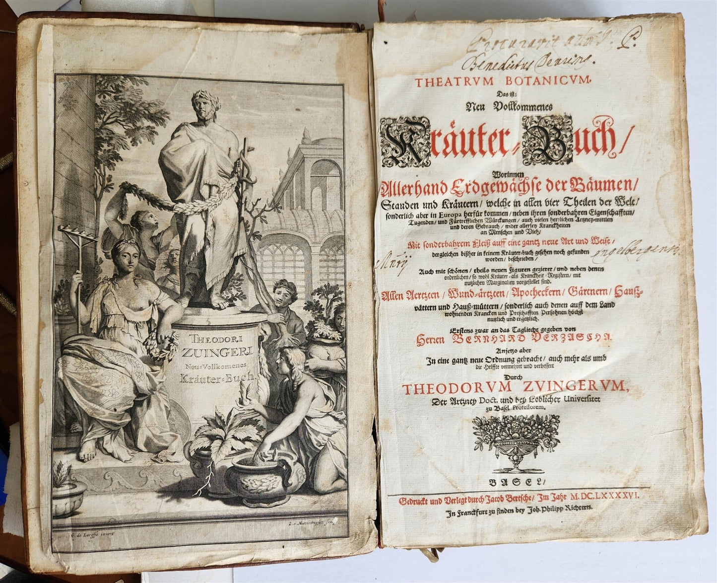 1696 THEATRUM BOTANICUM by Theodor ZWINGER antique ILLUSTRATED FOLIO in GERMAN