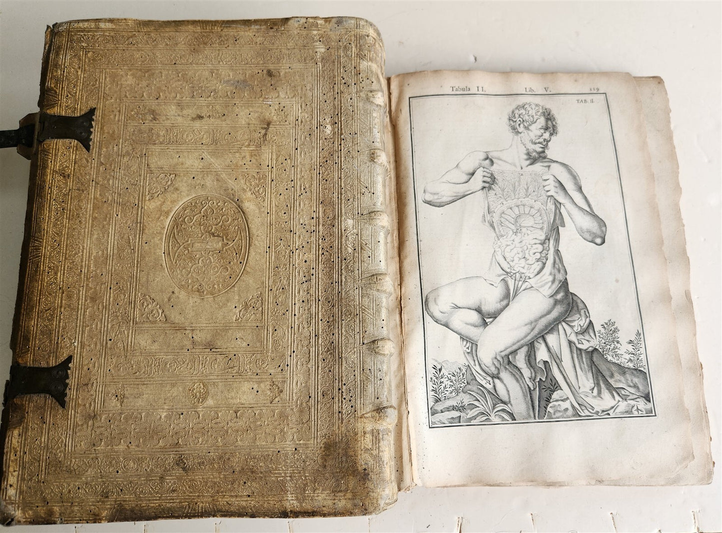 1645 ANATOMY TREATISE Adrian Spigelius 176 ENGRAVINGS ILLUSTRATED FOLIO antique